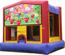 Party Rental 305