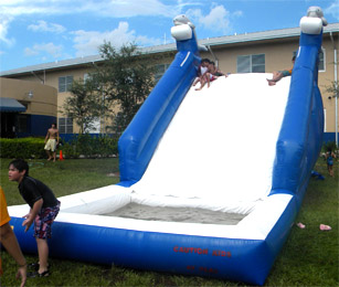 Party Rental 305